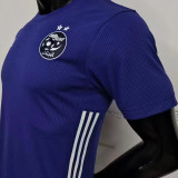 2023/24 Algeria Special Edition Purple Player Version Jersey