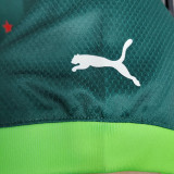 2023/24 Palmeiras 1:1 Quality Home Green Fans Soccer Jersey