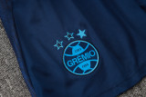 2024/25 Grêmio Blue Vest Training Jersey(A Set)