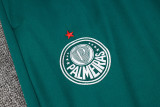 2025 Palmeiras Dark Green Jacket Tracksuit