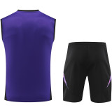 2025 Germany Purple Vest Training Jersey(A Set)
