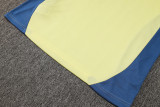 2025 AA Yellow Vest Training Jersey(A Set)