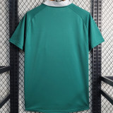 2023/24 Goiás Green Home Fans Soccer Jersey 戈亚斯