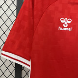 2024/25 Denmark Home Red Fans Soccer Jersey