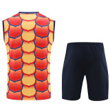 2024/25 BA Orange Vest Training Jersey(A Set)