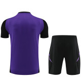 2024/25 Germany Purple Training Tracksuit