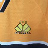 2024/25 Criciuma Home Yellow White Fans Jersey 克里丘马