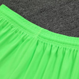 2023/24 M Goalkeeper Green Fans Soccer Jersey(A Set)