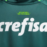 2023/24 Palmeiras 1:1 Quality Home Green Fans Soccer Jersey