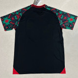 2023/24 Mexico Fans Soccer Jersey