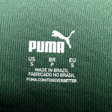 2022/23 Palmeiras 1:1 Home Green Fans Soccer Jersey