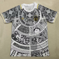 2023/24 Italy Special Edition Fans Soccer Jersey