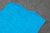 2024/25 Grêmio Blue Vest Training Jersey(A Set)