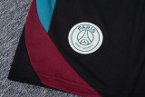 2024/25 PSG Green Training Jersey(A Set)