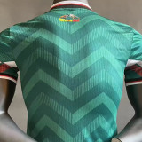 2024 Mexico Dragon Ball Player Version Soccer Jersey
