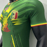 2023/24 Mali Away Green Player Version Jersey