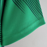 RAÚL #9 Mexico 1:1 Quality Home Green Fans Jersey 2022/23