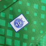 2023/24 Bahia Green Goalkeeper Soccer Jersey