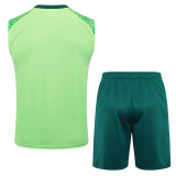 2024/25 Palmeiras Green Vest Training Jersey(A Set)