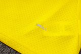 2024/25 BVB Yellow Jacket Tracksuit