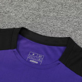 2025 Germany Purple Vest Training Jersey(A Set)
