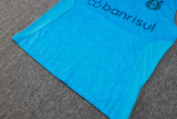 2024/25 Grêmio Blue Vest Training Jersey(A Set)