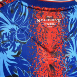 2024/25 Crystal Palace Home Fans Soccer Jersey