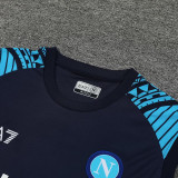 2024/25 Napoli Sapphire Blue Vest Training Jersey(A Set)