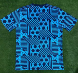 2023/24 Denmark Training Jersey