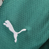 2023/24 Palmeiras Away White Kids Soccer Jersey