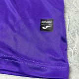 2024/25 RSC Anderlecht Home Fans Soccer Jersey 安德莱赫特