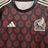 CHICHARITO #14 Mexico 1:1 Quality Fans Soccer Jersey 2024/25