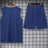 2024/25 Palmeiras Sapphire Blue Vest Training Jersey(A Set)