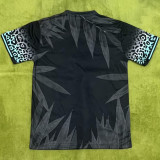2024/25 Brazil Special Edition Fans Jersey