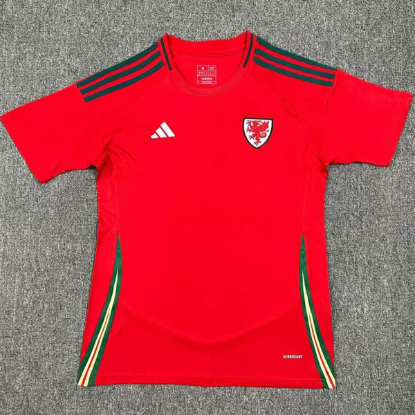 2024/25 Wales Home Red Fans Soccer Jersey