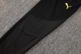 2024/25 BVB Yellow Jacket Tracksuit