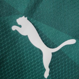 2023/24 Palmeiras 1:1 Home Green Fans Jersey (All Sponsor 全广告)