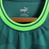 2023/24 Palmeiras 1:1 Home Green Fans Jersey (All Sponsor 全广告)