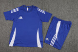 2024/25 Ad~ Blue Training Jersey(A Set)
