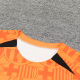 2024/25 BA Vest Training Jersey(A Set)