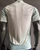 2024/25 Mexico Away Player Version Soccer Jersey