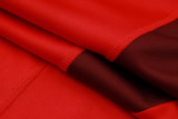 2024/25 Internacional Red Training Tracksuit 七分裤