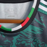 2023/24 Italy Special Edition Green Fans Soccer Jersey 带胸前广告
