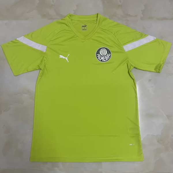 2023 Palmeiras Light Green Training Jersey