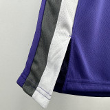 2024/25 Kings SABONIS #11 Purple NBA Jerseys 热压
