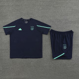 2024 AA Sapphire Blue Training Jersey(A Set)