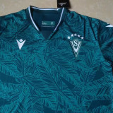 2024/25 Santiago Wanderers Home Green Fans Soccer Jersey