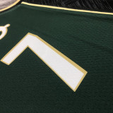 2023 Celtics BROWN #7 Green City Edition NBA Jerseys