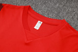 2024/25 Internacional Red Vest Training Jersey(A Set)