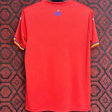 2023/24 Romania Away Red Fans Soccer Jersey